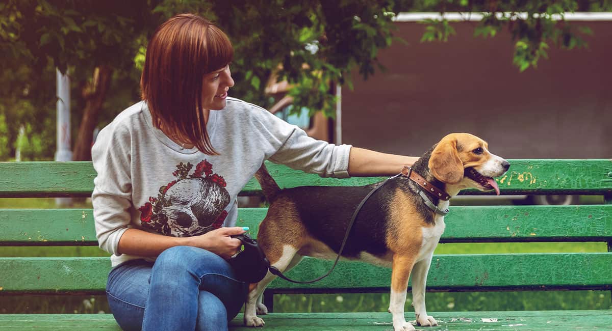 Pup Cuts Mobile Grooming LLC